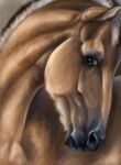  amber_eyes anatomically_correct arvakr draft_horse equid equine feral fjord_horse headshot_portrait hi_res horse looking_at_viewer male mammal portrait solo voronasasha 