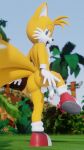  9:16 anthro balls canid canine clothing footwear fox genitals gloves handwear hi_res looking_at_viewer looking_back male mammal miles_prower mostly_nude open_mouth palm_tree penis plant raised_tail sega shoes solo sonic_the_hedgehog_(series) tree twintails3d 