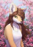  anthro breasts brown_hair canid canine cherry_blossom clothed clothing daniel_tibana female flower fox fur green_eyes hair inner_ear_fluff long_hair looking_at_viewer mammal orange_body orange_fur outside plant portrait sky sleeveless_shirt smile solo tree tuft white_body white_fur 