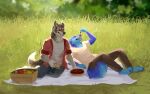 16:10 absurd_res anthro basket blue_body blue_eyes blue_fur blurred_background bottomwear brown_bottomwear brown_clothing brown_eyes brown_pants canid clothed clothing container corzh77 duo fluffy fluffy_tail food front_view fur grass grey_body grey_bottomwear grey_clothing grey_fur grey_pants grin head_tuft hi_res light light_beam male mammal pants picnic_basket pink_tongue plant reclining red_clothing red_topwear smile sunbeam sunlight tan_clothing tan_topwear tongue tongue_out topwear tuft unsigned white_body white_clothing white_fur white_topwear widescreen 