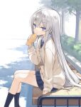  1girl :o bangs black_socks blue_eyes blue_skirt brown_cardigan cardigan collared_shirt commentary_request day feet_out_of_frame food from_side grey_hair hair_between_eyes highres holding holding_food long_hair long_sleeves looking_at_viewer looking_to_the_side original outdoors parted_lips plaid plaid_skirt pleated_skirt poco_(asahi_age) school_uniform shirt sitting skirt sleeves_past_wrists socks solo taiyaki tree very_long_hair wagashi white_background white_shirt 
