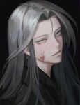  1boy bangs bishounen black_background black_jacket blood blood_on_face final_fantasy final_fantasy_vii final_fantasy_vii_remake green_eyes grey_hair highres intointt jacket long_bangs long_hair looking_at_viewer male_focus parted_bangs parted_lips portrait sephiroth slit_pupils solo upper_body 