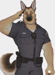  2022 absurd_res anthro belt biped brown_body brown_eyes brown_fur canid canine canis chain_collar clothing collar digital_media_(artwork) domestic_dog fur german_shepherd gesture herding_dog hi_res k0bit0wani looking_at_viewer male mammal multicolored_body multicolored_fur muscular muscular_anthro muscular_male pastoral_dog police_officer police_uniform salute simple_background solo tan_body tan_fur uniform white_background white_body white_fur 