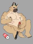  absurd_res anthro balls brown_body brown_fur canid canine canis domestic_dog erection fur genitals hi_res judas_hyena lifewonders male mammal masturbation musclegut nude penile penile_masturbation penis scar solo tokyo_afterschool_summoners topknot video_games yasuyori 