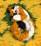  absurd_res anthro black_body black_fur canid corzh77 eyes_closed female flower full-length_portrait fur hi_res lying mammal markings multicolored_body multicolored_fur nude on_side orange_body orange_fur outside plant portrait side_view sleeping solo striped_arms striped_legs striped_markings striped_tail stripes tail_markings unsigned whiskers white_body white_fur yellow_flower 