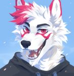  2020 anthro black_clothing black_eyebrows black_hoodie black_topwear blue_background bust_portrait canid canine canis cheek_tuft chin_tuft clothed clothing corzh77 dipstick_ears eyebrows facial_tuft fangs fur hair hi_res hoodie looking_at_viewer male mammal multicolored_ears neck_tuft open_mouth open_smile portrait pupils red_eyes red_hair red_pupils red_tongue simple_background smile solo tongue topwear tuft unsigned white_body white_eyes white_fur white_hair white_inner_ear wolf 