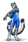  2022 absurd_res anthro blue_eyes clothing digitigrade felid fluffy fur green_eyes grey_body grey_fur heterochromia hi_res looking_at_viewer male mammal mykegreywolf pantherine snow_leopard solo spandex spots spotted_body spotted_fur tight_clothing 