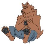  4_fingers 4_toes anthro barefoot black_pawpads blush bottomwear brown_body brown_fur canid canine canis chippyyumyum clothed clothing cute_expression denim denim_clothing fangs feet fingers fur jeans male mammal pants pawpads paws simple_background smile solo toes topless were werecanid werecanine werewolf white_background wolf 