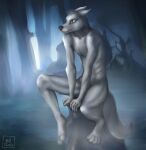  absurd_res anthro black_body black_fur black_nose brown_eyes canid canine canis fog forest fur grey_body grey_fur hi_res male mammal nude paws plant solo tree tsonic wolf 