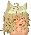  1girl ahoge animal_ears blush collarbone fang furry green_hair hawthorn looking_at_viewer open_mouth original simple_background solo tongue upper_body whiskers white_background yellow_eyes 