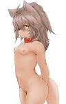  1girl absurdres animal_ears blush breasts brown_eyes brown_hair collar dog_ears dog_girl dog_tail furry hawthorn highres long_hair looking_at_viewer navel nipples nude open_mouth original red_collar shiny shiny_hair simple_background small_breasts solo standing tail white_background 