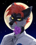  absurd_res anthro black_body black_fur bust_portrait canid cheek_tuft clothed clothing corzh77 facial_tuft flower fur grey_body grey_fur hair hi_res holding_flower holding_object looking_at_viewer male mammal moon mouth_closed narrowed_eyes pink_flower plant portrait red_hair solo star topwear tuft unsigned white_clothing white_topwear yellow_eyes 