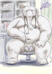  2022 anthro balls belly big_belly detailed_background doctor elephant elephantid flaccid genitals god_wanko grey_body hi_res kemono male mammal medical_instrument moobs navel nipples overweight overweight_male penis proboscidean scientific_instrument sitting small_penis solo 
