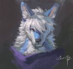  anthro awaldkize black_nose blue_body blue_ears blue_fur canid clothed clothing fur hair headshot_portrait hi_res inner_ear_fluff looking_at_viewer male mammal mouth_closed pink_inner_ear portrait purple_clothing purple_topwear signature simple_background solo topwear tuft white_body white_fur white_hair white_inner_ear_fluff yellow_eyes 