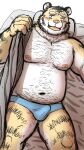  2022 anthro bed bedding belly blanket blush bulge clothing felid furniture hi_res humanoid_hands kemono kick_(artist) lying male mammal moobs navel nipples overweight overweight_male pantherine pillow solo tiger underwear 