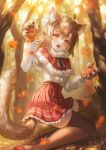  1girl absurdres animal_ears autumn autumn_leaves blurry blurry_background blush capelet falling_leaves forest fur_capelet highres holding holding_leaf kneeling leaf light long_sleeves looking_at_viewer maple_leaf mirage_(rairudiseu) nature open_mouth orange_eyes original pleated_skirt red_skirt shirt skirt smile teeth upper_teeth white_shirt wolf_ears 