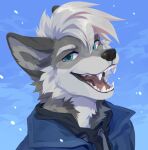  absurd_res anthro black_clothing black_hoodie black_nose black_topwear blue_clothing blue_eyes blue_jacket blue_topwear bust_portrait canid canine canis cheek_tuft clothed clothing corzh77 facial_tuft fangs fur glistening glistening_eyes grey_body grey_fur hair happy hi_res hoodie jacket looking_at_viewer male mammal narrowed_eyes neck_tuft open_mouth open_smile portrait red_tongue rye_(ryew0lf) simple_background smile snow snowing solo tongue topwear tuft unsigned white_body white_fur white_hair wolf 