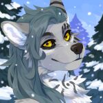  1:1 absurd_res anthro black_sclera blue_hair blue_sky bust_portrait canid cheek_tuft chest_tuft corzh77 facial_tuft female fur glistening glistening_eyes grey_body grey_fur hair hi_res long_hair looking_at_viewer mammal mouth_closed neck_tuft nude outside plant portrait sky snow snowing solo three-quarter_view tree tuft unsigned white_body white_fur yellow_eyes 