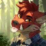  1:1 absurd_res anthro blep blue_clothing blue_topwear blurred_background brown_hair bust_portrait canid cheek_tuft closed_smile clothed clothing corzh77 facial_tuft forest fur glistening glistening_eyes hair hi_res light light_beam looking_at_viewer male mammal neck_tuft orange_eyes outside pink_tongue plant portrait shrub solo sunbeam sunlight tan_body tan_fur tongue tongue_out topwear tree tuft tusks unsigned 