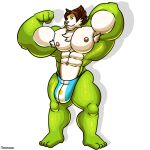  1:1 argentina argentine_flag big_bulge big_muscles brown_hair bulge chesnaught clothing fur generation_6_pokemon green_body hair hi_res jockstrap male marcelo_solava monstadog muscular nintendo pokemon pokemon_(species) solo underwear video_games white_body white_fur 