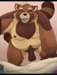  2022 96panda anthro balls bed belly big_belly brown_body canid canine condom condom_in_mouth furniture genitals hi_res kalibus kemono male mammal moobs nipples overweight overweight_male penis raccoon_dog sexual_barrier_device solo tanuki 