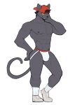  anthro bulge clothing felid footwear hi_res jockstrap jrjresq male mammal muscular pantherine pose socks solo underwear 