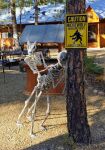  anthro bone canid canine caution_sign duo forced halloween halloween_decoration hi_res holidays humor male male/male mammal photography_(artwork) plant rape skeleton tree unknown_artist well were werecanid werecanine werewolf 