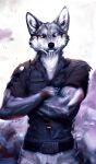  anthro canid canine canis hi_res humanoid hybrid male mammal solo wolf wolfdog 