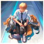  1boy animal bangs black_necktie black_pants blonde_hair cat chainsaw_man closed_eyes collared_shirt denji_(chainsaw_man) highres kozzz_y neck necktie pants petting shirt shoes short_hair sitting sleeves_rolled_up smile sneakers solo_focus white_shirt 
