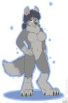  2019 4_toes 5_fingers accessory anthro arm_by_side black_claws black_hair black_nose blue_outline breasts brown_eyes canid canine canis cheek_tuft chest_tuft claws countershade_face countershade_torso countershading digitigrade dipstick_tail drop_shadow eyebrow_through_hair eyebrows eyelashes eyelashes_through_hair facial_markings facial_tuft featureless_breasts featureless_crotch feet female fingers flat_colors foot_tuft gloves_(marking) grey_body hair hair_accessory hair_tie hand_on_hip head_markings heel_tuft hi_res inner_ear_fluff knee_tuft leg_markings leg_tuft light_gray_fur looking_at_viewer mammal markings medium_breasts navel outline pink_inner_ear ponytail sammfeatblueheart signature simple_background smile socks_(marking) solo tail_markings toes translucent translucent_hair tuft were werecanid werecanine werewolf white_background wolf 