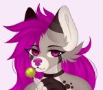  2022 age_difference anthro candy canid canine canis commissionart dessert digital_drawing_(artwork) digital_media_(artwork) fan_character female food gift hair headshot_portrait icon lollipop looking_at_viewer macyw mammal pink_eyes pink_hair pink_nose portrait raffle_prize requests shaded smile smiling_at_viewer solo wolf younger_anthro 