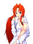  bad_id bad_pixiv_id blue_eyes blush braid breasts hong_meiling large_breasts long_hair noomu_(no-mu) open_clothes red_hair solo touhou twin_braids 
