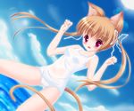  animal_ears brown_hair cameltoe cat_ears cat_tail dutch_angle einpurpose fang long_hair one-piece_swimsuit original red_eyes school_swimsuit see-through solo swimsuit tail twintails white_school_swimsuit white_swimsuit 