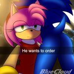  1:1 amy_rose anthro big_butt blue_body blue_fur bluecloud butt car clothing dress duo english_text eulipotyphlan female fur he_wants_to_order hedgehog hi_res male male/female mammal meme pink_body pink_fur red_clothing sega sonamy sonic_the_hedgehog sonic_the_hedgehog_(series) text thick_thighs vehicle 