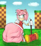  after_vore amy_rose anthro belly big_belly duo female female_pred killboo oral_vore same_size_vore sega sonic_the_hedgehog_(series) vore 