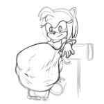  abdominal_bulge after_vore amy_rose anthro belly big_belly duo female female_pred killboo oral_vore same_size_vore sega sonic_the_hedgehog_(series) vore 