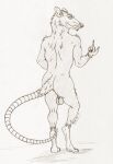  anthro backsack balls butt eyegis-garr genitals gesture hi_res line_art long_tail looking_at_viewer looking_back looking_back_at_viewer male mammal murid murine pointing rat rat_tail rear_view rodent shaded simple_shading solo 