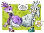  abdominal_bulge anthro belly big_belly blaze_the_cat dialogue female group hi_res hyper hyper_pregnancy killboo male marine_the_raccoon pregnant pregnant_male sega silver_the_hedgehog sonic_the_hedgehog_(series) speech_bubble trio 