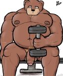  alanottaviano anthro balls barazoku brown_bear brown_body brown_fur chubby_male exercise foreskin fur genitals grizzly_bear hi_res male mammal musclegut muscular muscular_male overweight overweight_male penis solo ursid ursine workout 