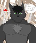  &lt;3 anthro baggy_eyes big_ears boss breasts canid canine canis clothed clothing fur green_eyes grey_body grey_fur hi_res kuro_(soapy07) male male/male mammal moobs muscular muscular_male nude omegaverse requested_sex sharp_teeth shirtless soapy07 solo speech_bubble tall teeth tired topless wolf 