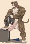  abs anatake anthro balls biceps big_muscles bodily_fluids brown_body brown_fur canid canine canis claws deltoids domestic_dog fur genital_fluids genitals half-erect hi_res huge_muscles humanoid_genitalia humanoid_penis male mammal multicolored_body multicolored_fur muscular muscular_anthro muscular_male nipples nude pecs penis precum simple_background solo solo_focus standing two_tone_body two_tone_fur white_balls white_body white_fur 