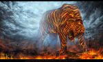  2013 burning detailed_background felid feral heliacwolf lava male mammal outside pantherine quadruped solo stripes text tiger url 