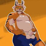  anthro beard bottomwear clothing coach_(monster_prom) daxdi daxhush erection facial_hair felid green_eyes hi_res male mammal mustache nipples pantherine shorts slightly_chubby solo tiger 