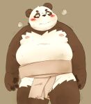  2022 anthro asian_clothing balls barely_visible_balls barely_visible_genitalia belly big_belly black_nose blush brown_body clothing east_asian_clothing genitals giant_panda hi_res humanoid_hands japanese_clothing kemono male mammal mawashi meg_hoi moobs nipples overweight overweight_male simple_background solo ursid white_body 