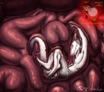  ambiguous_fluids ambiguous_gender anthro bigclaudia bodily_fluids endosoma full_tour fur grey_body grey_fur guts hi_res internal intestines micro multicolored_body nude organs purple_eyes sergal size_difference solo taloverae teeth two_tone_body vore white_body white_fur 