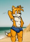  anthro armpit_hair armpit_tuft beach blurred_background body_hair bulge canid canine chest_tuft clothing fox front_view hands_behind_back male mammal miles_prower nipples seaside sega solo sonic_the_hedgehog_(series) throudwire tuft underwear 