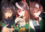  3girls animal_ears bangs biting black_background black_gloves black_hair blue_eyes breasts brown_hair cleavage closed_mouth coat glove_biting glove_pull gloves green_coat hair_between_eyes hand_up horse_ears jabot long_hair long_sleeves looking_at_viewer medal medium_breasts mouth_pull multicolored_hair multiple_girls pink_eyes ponytail red_eyes romi_(346_ura) sirius_symboli_(umamusume) smile symboli_kris_s_(umamusume) symboli_rudolf_(umamusume) umamusume upper_body v-shaped_eyebrows white_gloves 