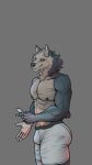  abs absurd_res ankhwav anthro athletic blue_eyes boxers_(clothing) bulge canid canine canis clothing hi_res male male/male mammal muscular muscular_anthro muscular_male nipples pecs solo underwear were werecanid werecanine werewolf wolf 