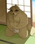  2022 anthro asian_clothing belly bodily_fluids bulge canid canine canis clothing detailed_background domestic_dog east_asian_clothing fundoshi humanoid_hands inside inuryu japanese_clothing kemono male mammal moobs nipples overweight overweight_male solo sweat underwear white_clothing white_fundoshi white_underwear 