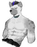  2022 abs absurd_res anthro arknights athletic black_hair blue_hair clothed clothing collar ear_piercing eyebrow_piercing facial_piercing fur grey_body hair hi_res hyaenid hypergryph looking_at_viewer male mammal multicolored_hair muscular muscular_anthro muscular_male piercing pluto08010511 simple_background solo spot_(arknights) spots spotted_body spotted_fur spotted_hyena studio_montagne topless topless_anthro topless_male two_tone_hair video_games 